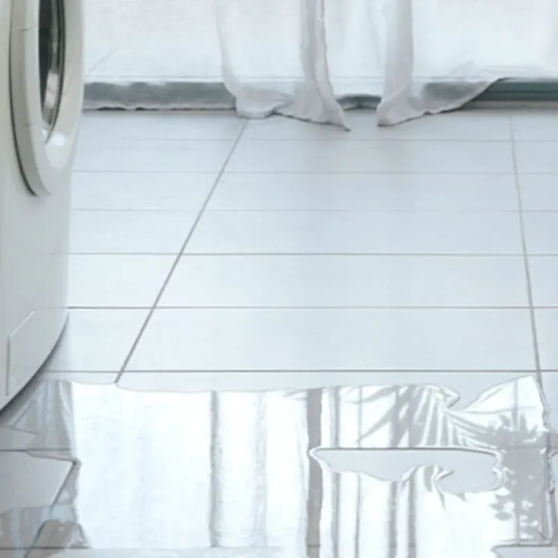 Appliance Leak Cleanup in Kingman County, KS