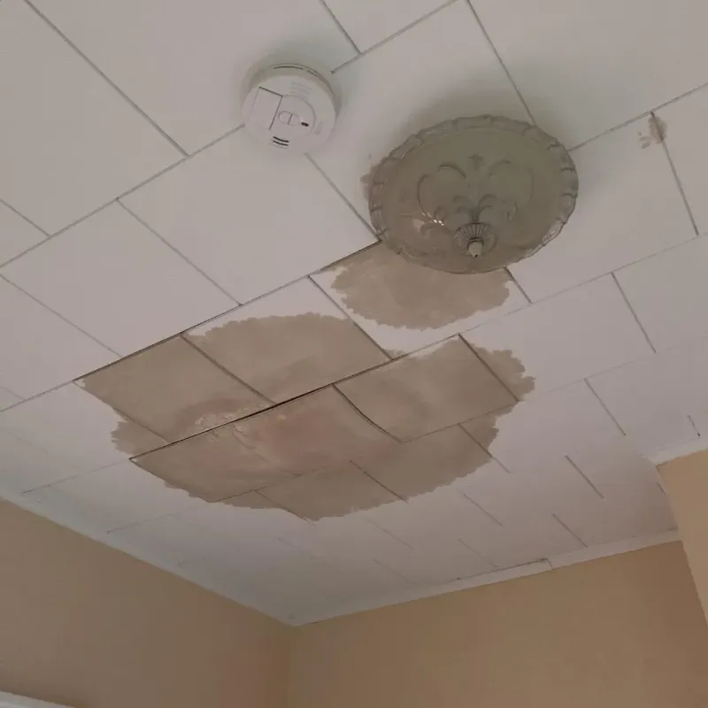 Ceiling Water Damage Repair in Kingman County, KS