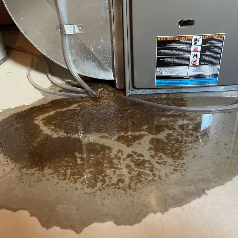 Pipe Burst and Leak Restoration in Kingman County, KS