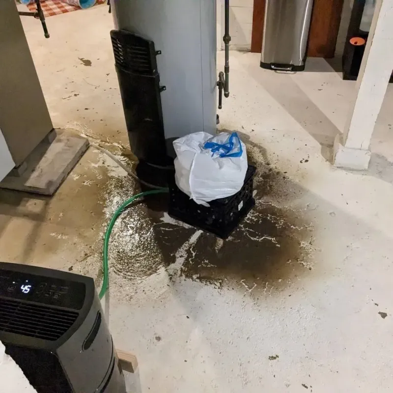Sewage Backup Cleanup Service in Kingman County, KS